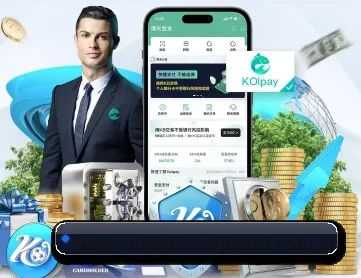 世界杯 APP 深度功能